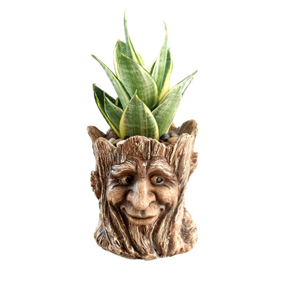 Youfui Funny Planter Head Face Plant Pot with Drainage Hole Resin Succulent Plant Holder Pencil Holder Desk Organizer Office Garden Gift (Smile Face)