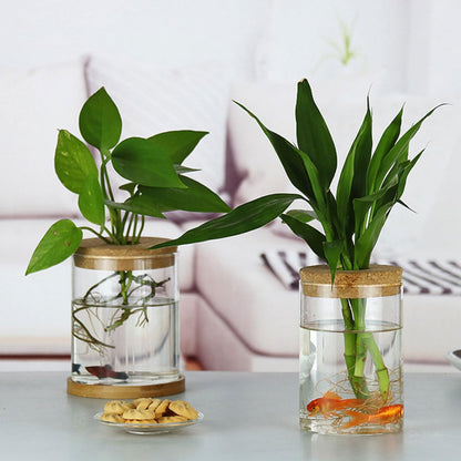 GALPADA Glass Flower Vase Set 2pcs 6.5cm X 10cm with Corked Hole for Indoor Hydroponic Plants and Moss Terrarium Home Decor Floral Arrangement Container