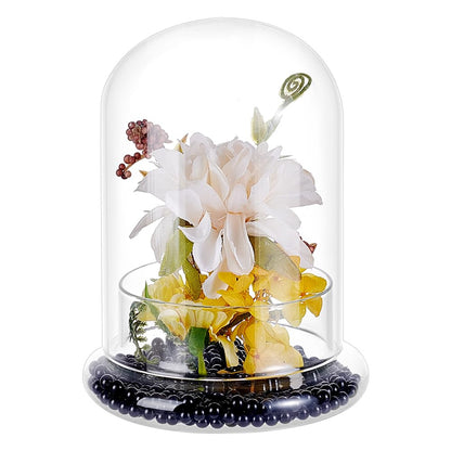PH PandaHall Glass Display Dome Cloche 4.6x6.38inch Clear Terrarium Planter with Base Tabletop Display Terrarium for Indoor Plants Succulents Cactus Tabletop Home Decoration