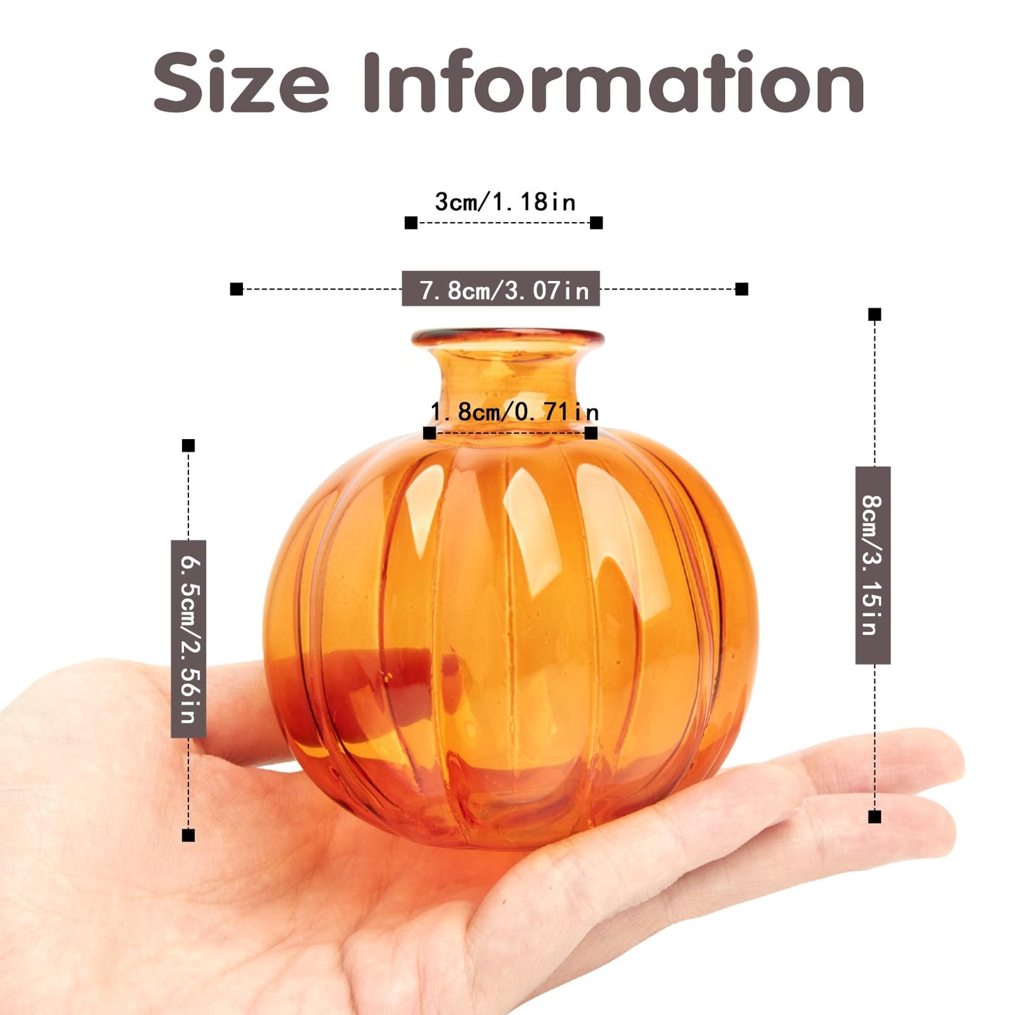 XXXFLOWER Plant Terrarium Propagation Stations Unique Gifts for Women Plant Lovers 3Pcs Pumpkin-Shaped Glass Vase for Tabletop Home Office Garden Decor (Plants NOT Included)