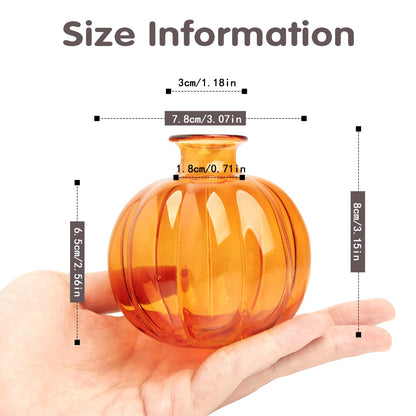 XXXFLOWER Plant Terrarium Propagation Stations Unique Gifts for Women Plant Lovers 3Pcs Pumpkin-Shaped Glass Vase for Tabletop Home Office Garden Decor (Plants NOT Included)