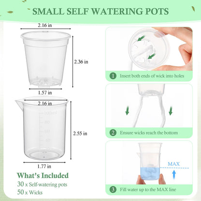 Ferrochef 30 Pcak 2.2'' Small Self Watering Planters for Indoor Plants Mini Clear Pots with Water Level Indicator Plastic Automatic-Watering Pot with Drainage Holes for Semi-hydroponic African Violet