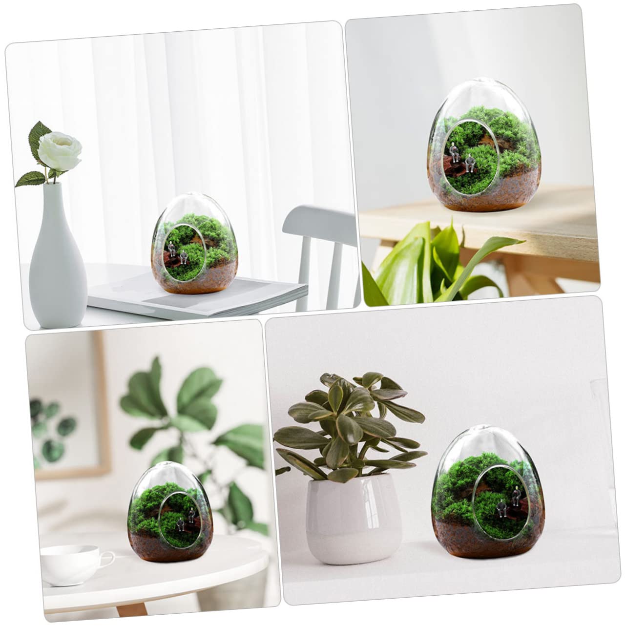 BESPORTBLE Glass Bottle Plant Moss Terrarium DIY Micro-Landscape Desktop Succulent Vase Home Decor