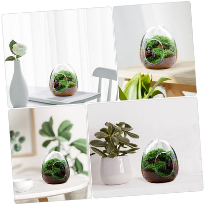 BESPORTBLE Glass Bottle Plant Moss Terrarium DIY Micro-Landscape Desktop Succulent Vase Home Decor