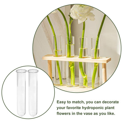 FUNOMOCYA 4pcs Clear Test Tubes for Cutting Plant Glass Propagation Tubes for Hydroponic Plants, Flowers, Home Office Wall Decor