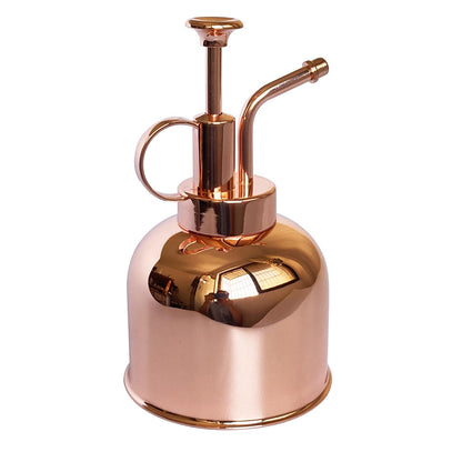 Lianshi Plant Mister Spray Bottle Stainless Steel Plant Sprayer, Small Watering can Plant Spray Bottle Modern Gardening Tools for Indoor Potted Plants Watering and Spraying