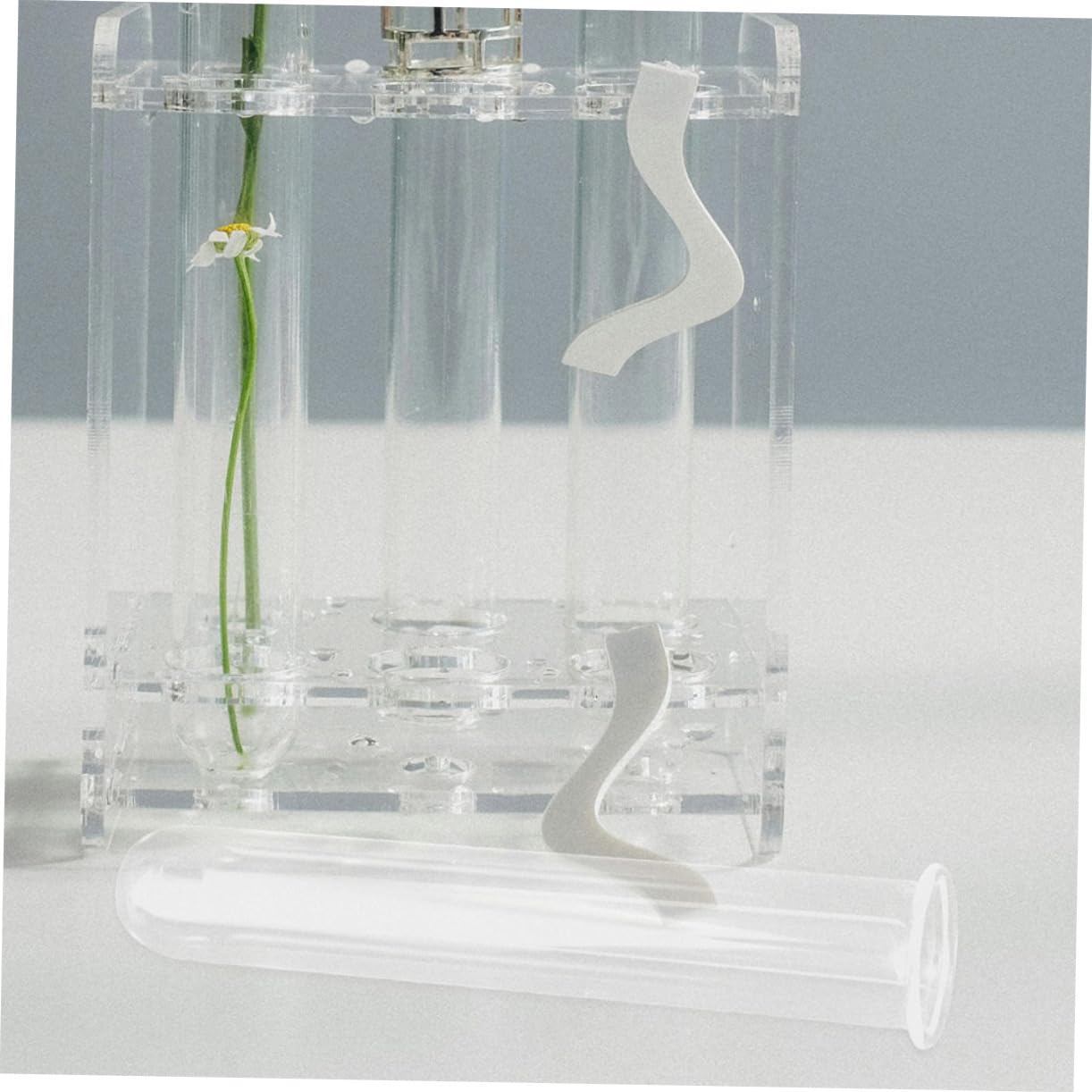 Abaodam 5Pcs Hydroponics Test Tube Vase Transparent Glass Propagation Vases for Indoor Plants Stylish Home Decor for Flower Arrangements and Terrarium Display