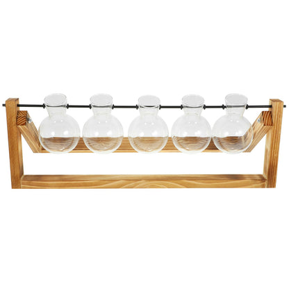 NUOBESTY Glass Plant Propagation Station Set with Metal Stand, 5 Glass Vases for Indoor Hydroponic Plants, Home Décor Terrarium Display for Desktop and Greenery Arrangement