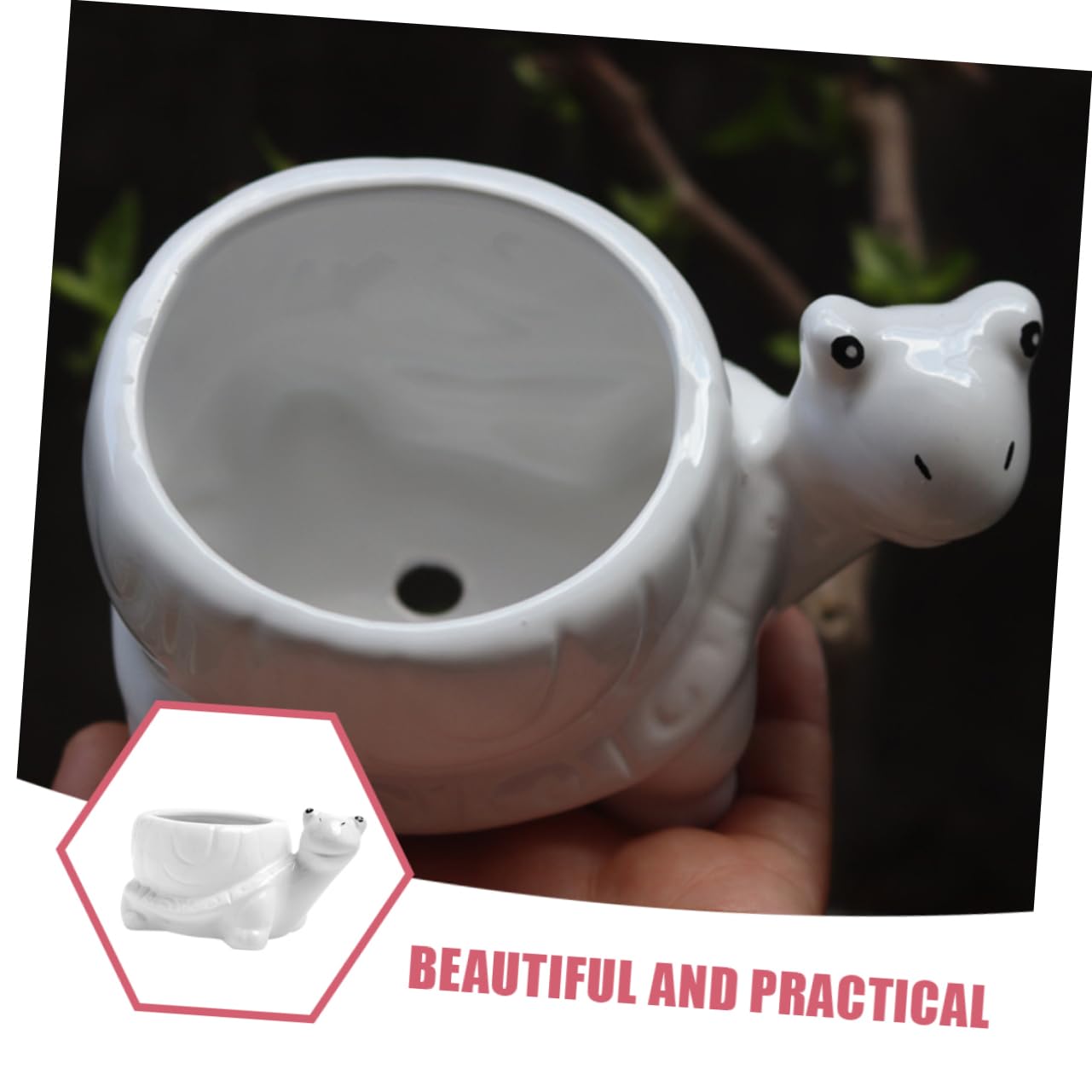 Ciieeo Ceramic Turtle Succulent Planter Pot Cute Cartoon Flower Container for Plants for Home Office Desk Decor Vibrant Garden Decoration