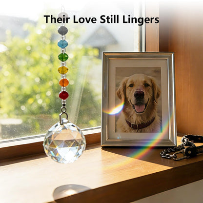 Pet Memorial Gifts for Cats Dogs: Round Ball Crystal Sun Catcher Remembrance Ornament, Cat Memorial Gifts for Loss of Cat, Rainbow Bridge Dog Passing Away, Bereavement Pet Loss Sympathy Gift