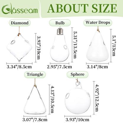 Glasseam Hanging Planters Glass Terrarium: 5Pcs Modern Plant Propagation Stations Hydroponic Wall Vases for Air Plants Flowers Indoor Window Home Decor
