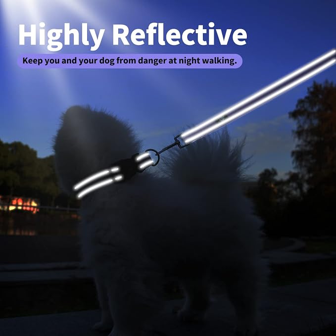 IVY&LANE Reflective Dog Collar and Leash Set,Adjustable Neoprene Padded Dog Collars for Puppy, Breathable Nylon Pet Collar for Small Medium Large Dogs (Large,Purple)