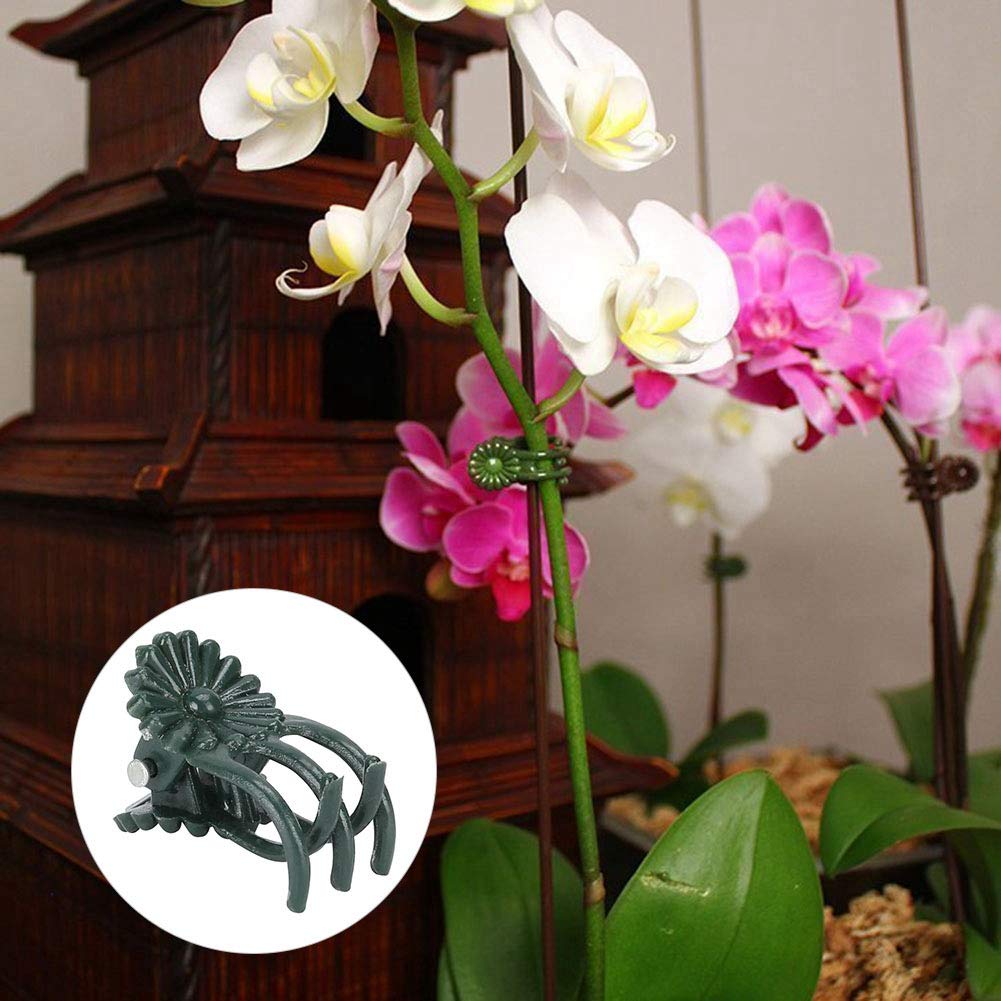 Fdit 200Pcs Plant Clips Orchid Clips Flower Shaped Plant Clip Orchid Stems Fixing Support Supporting Stems Vines to Grow (Green)