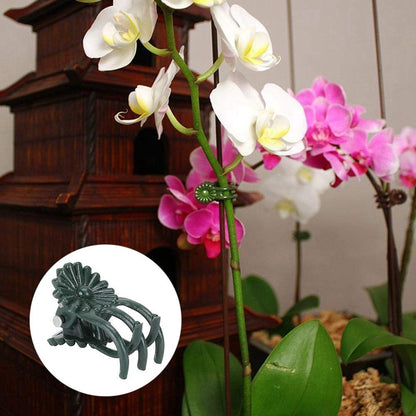Fdit 200Pcs Plant Clips Orchid Clips Flower Shaped Plant Clip Orchid Stems Fixing Support Supporting Stems Vines to Grow (Green)