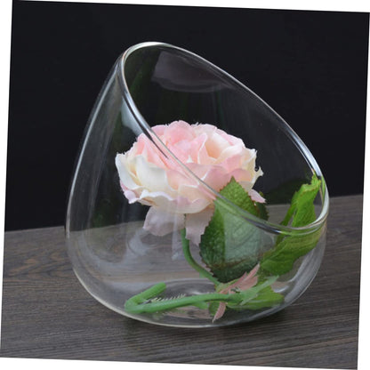 VICASKY Glass Landscape Bottle for and Air Plants Multi-Purpose Terrarium Container for Home Decor and Creative Displays