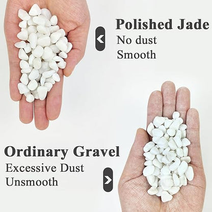 YISZM 10LB Succulent and Cactus Gravel Pebbles, 3/8 Inch Natural Decorative Polished Stones, River Rocks for Plants, Vases, Aquariums, Terrarium and Outdoor Gardening, White