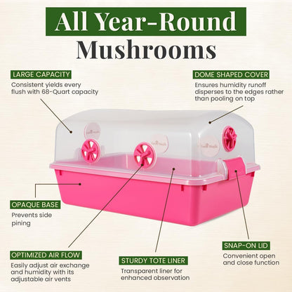 Gro Magik Premium Mushroom Monotub Grow Kit [XLarge, 68Q] Portable and Compact Fruiting Chamber with Plugs, Filters and Adjustable Air Vents, 22.8 x 15.7” x 12”, Pink