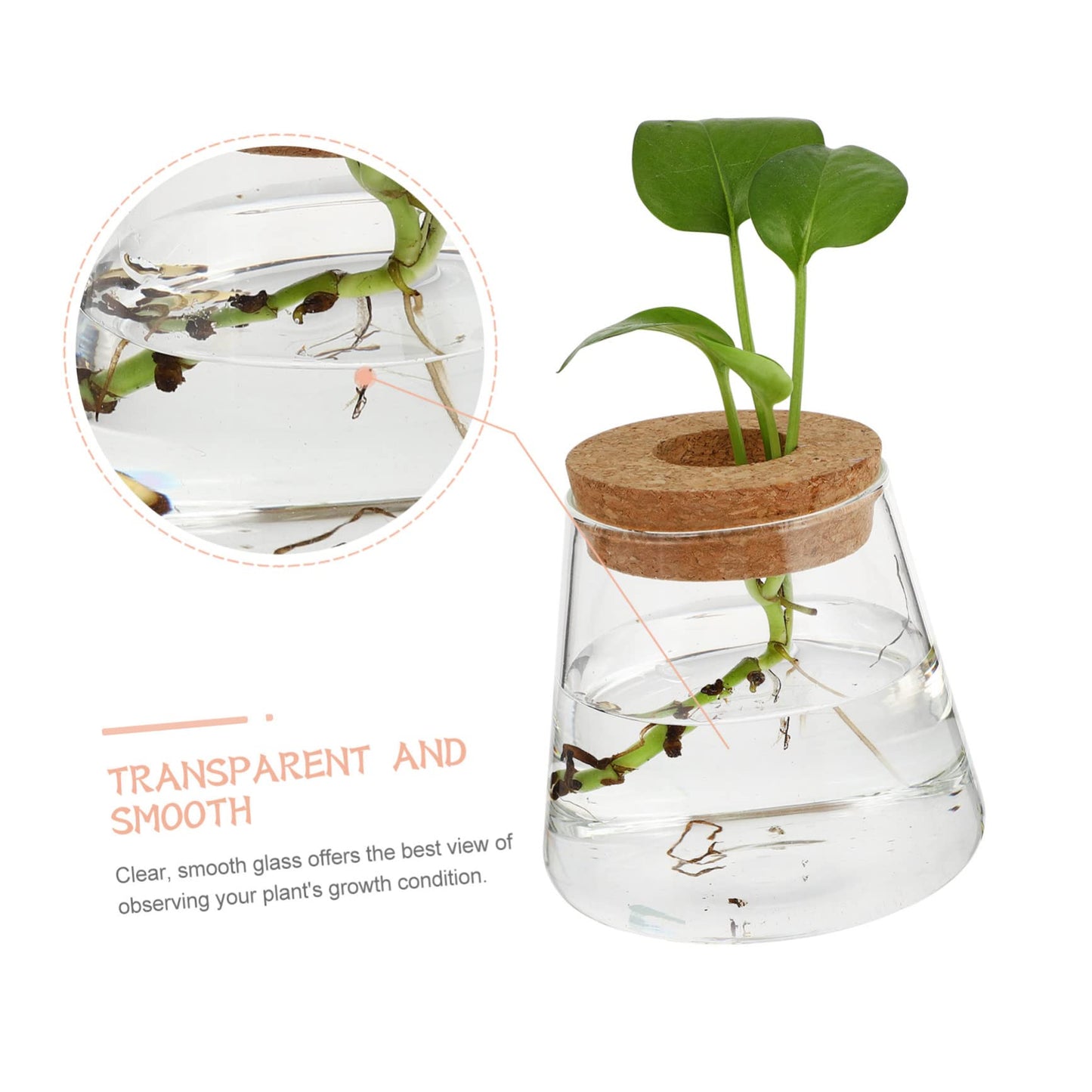 PRETYZOOM 2Pcs Glass Hydroponic Plant Vases for Desktop Home Decoration Clear Smooth Glass Terrarium for Floral Arrangement Office Plant Propagation Jar Unique Design