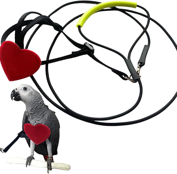 Adjustable Birds Harness and Leash Parrot Harness Leash Training Supplies Pet Anti-bite Outdoor Flying Rope for Conures Budgerigar Lovebird Cockatiel Mynah (XS)