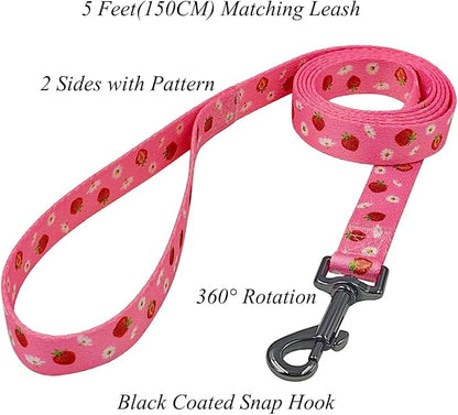 Dog Collar Leash Set, Floral Pattern, Polyester Material, Adjustable Collar and 5ft Matchcing Leash, for Small Dogs.(S, Daisy and Strawberry)