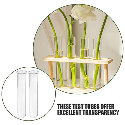 Operitacx 4pcs Glass Test Tube Hydroponic Vases Set 2.5x3x18cm Decorative Plant Propagation Holders for Desk and Wall Terrarium Home Garden Décor