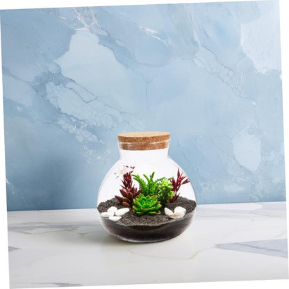 BESPORTBLE Glass Moss Bottle Empty Glass Jar Moss Crafts Home Decor Plant Terrarium