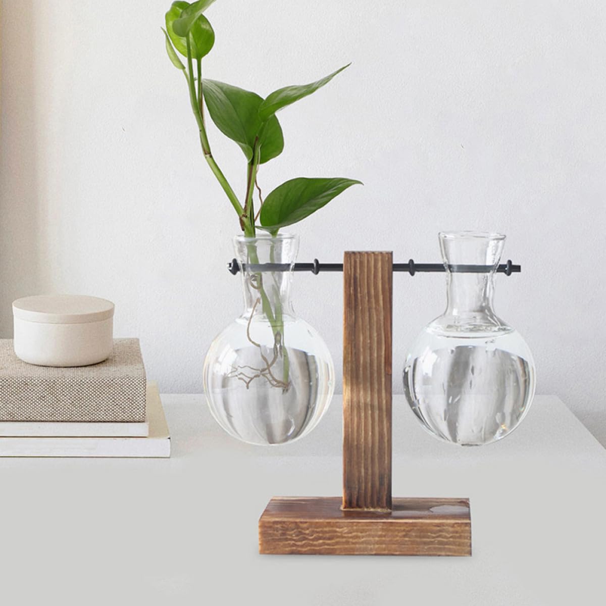 OSALADI 3Pcs Glass Hydroponic Vase with Wood Stand, High Borosilicate Glass Planter for Indoor Plant Propagation and Flower Display, Desk Terrarium Jars for Home and Office Decor