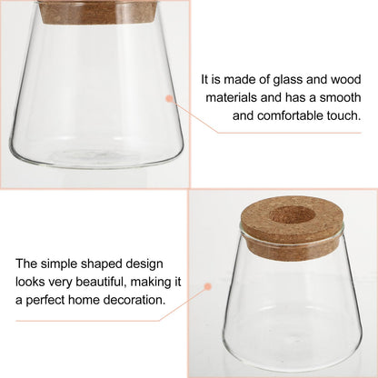 SOLUSTRE 2pcs Glass Hydroponic Plant Vases with 6.5cm Opening, Glass Terrarium for Water Propagation, Small Desktop Home and Office Garden Decoration
