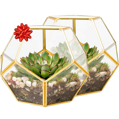 D'Eco Glass Geometric Plant Terrarium (Set of 2) - Indoor Tabletop Gold Sphere Planter Terrarium - Succulents, Air Plants, Moss - Home Garden Office Wedding Decor - Gift Idea for Plant Lovers