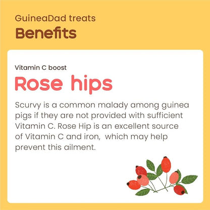 GuineaDad Organic Guinea Pig Herbal Treats - Guinea Pig Food with Convenient Packaging - Rose Hip Flavor - 10 fl. oz - Guinea Pig Treats Help with Bonding - High in Nutrition, Immune Support - Small
