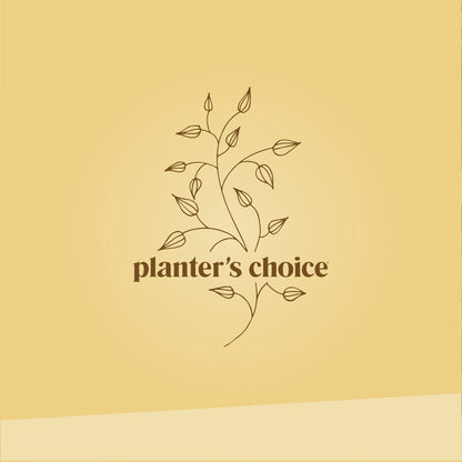 Planter's Choice Bonsai Tree Kit for Beginners & Plant Lovers - Grow Your Own Bonsai from Seed, 4 Species Starter Kit with Burlap Pots, Shears, Soil Disc, Markers & Guide, Gift for Mom or Grandma