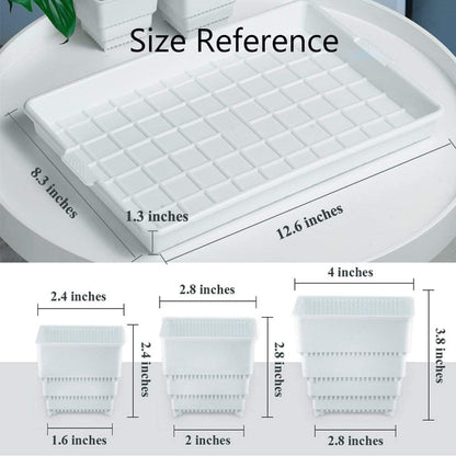 Meshpot Succulent Pots, 12Pcs 2.8 Inch Planters with 14 x 9.4 Inch Tray, Plastic Cactus Pot with Drainage, Square Seedlings Pot Match Long Rectangular Tray