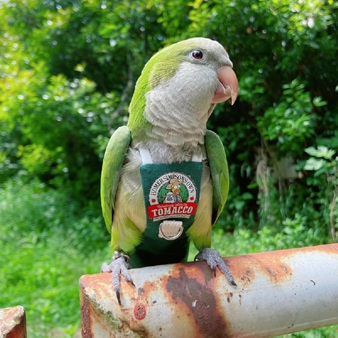 Bird Clothes Parrot Diapers Bird Flight Suits, Reusable Waterproof Diapers pet Bird Supplies (L)