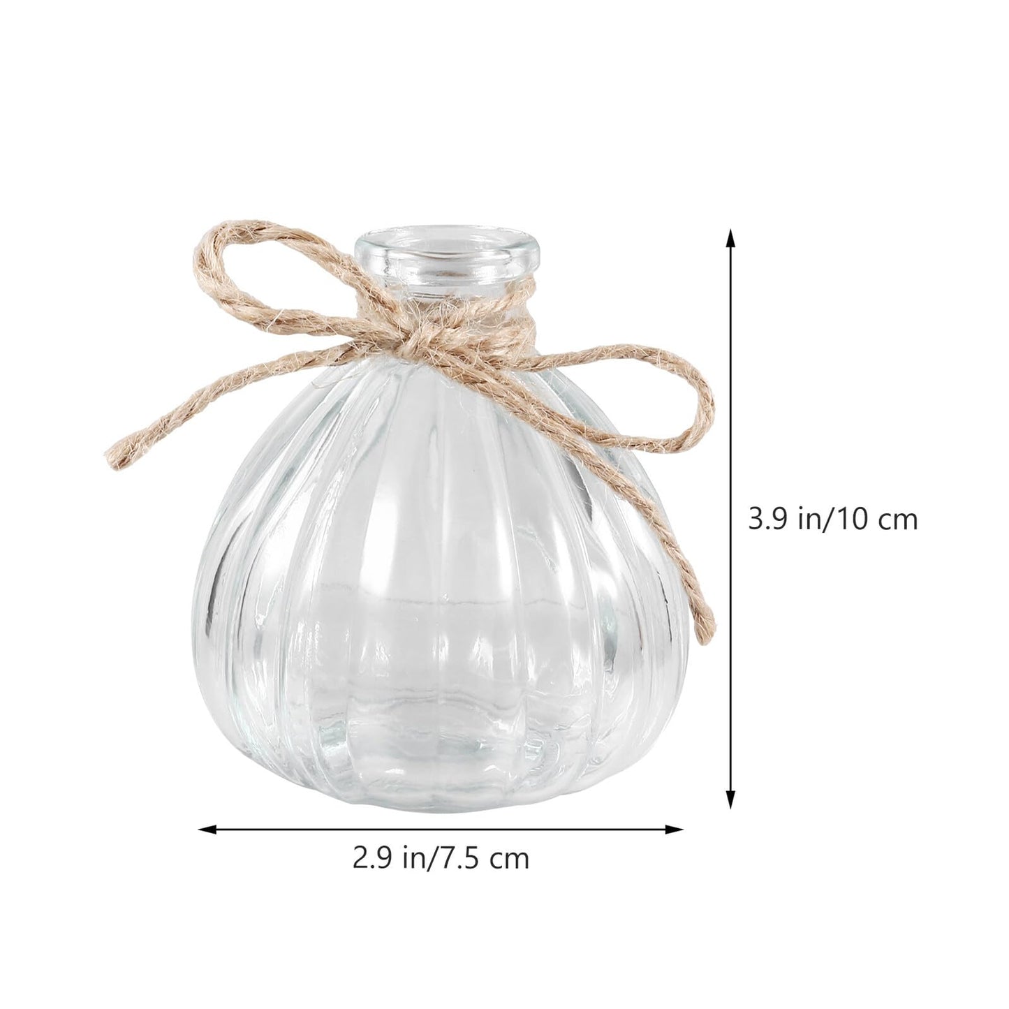 NUOBESTY 5pcs Glass Flower Vases Set with Rope Design, Decorative Plant Terrarium and Flower Arrangement Containers for Home Décor and Table Display