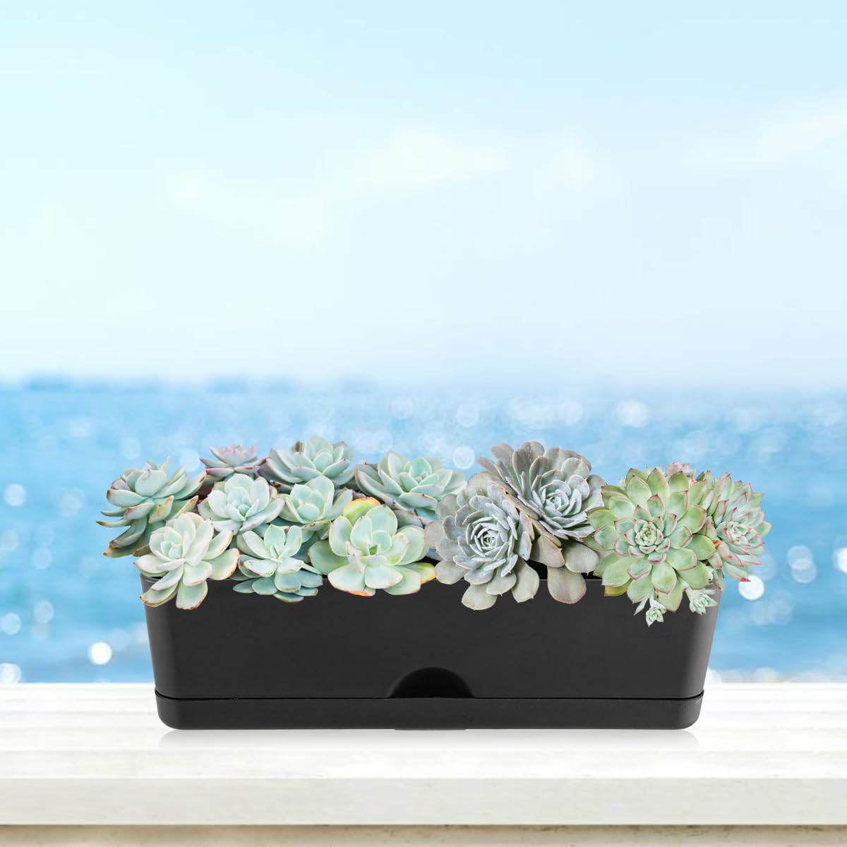 6 Pack Rectangle Planter 16x4.4 Inch Window Boxes Planters Rectangular Large Window Sill Planters Indoor Self Watering Plant Pots with Drainage Holes and Saucers Succulent Herb Flower Pots, Black