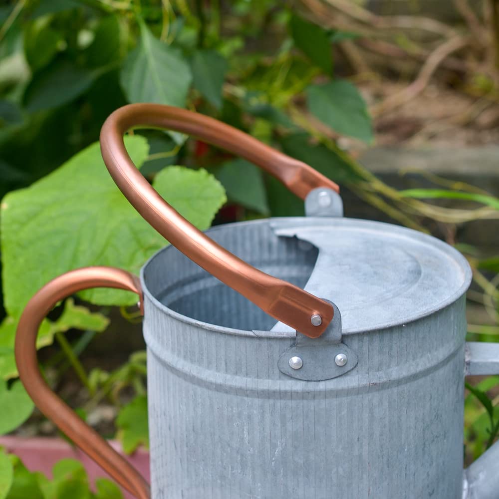 HORTICAN 1 Gallon Watering Can, Metal Watering Can with Removable Spout, Farmhouse Galvanzied Water Can, Nice Plant Water Can for Indoor Use and for Outdoor Use