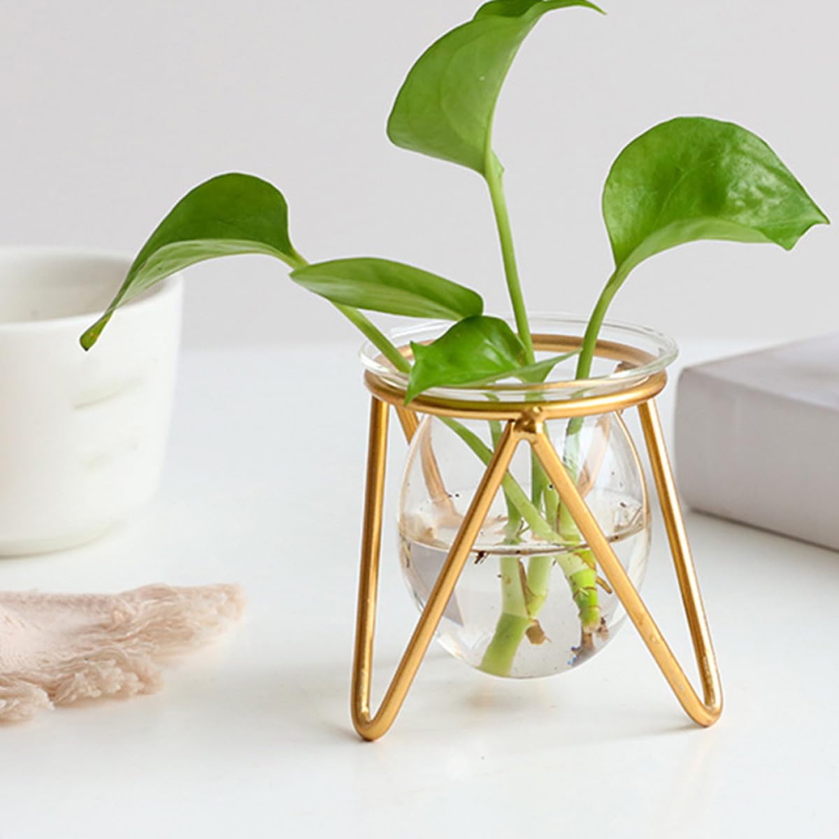 Unomor Glass Hydroponic Plant Vase with Gold Metal Stand Small Tabletop Flowerpot for Indoor Air Plants and Terrarium Décor for Home and Wedding