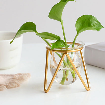 Unomor Glass Hydroponic Plant Vase with Gold Metal Stand Small Tabletop Flowerpot for Indoor Air Plants and Terrarium Décor for Home and Wedding