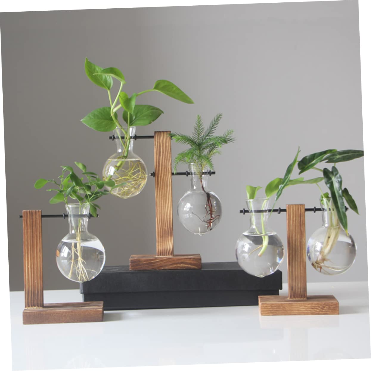 UPKOCH 2pcs Hydroponic Glass Vase with Wooden Stand Modern Terrarium Planter for Home Office Decoration Clean Sanitary Plant Display Elegant Desktop Ornament