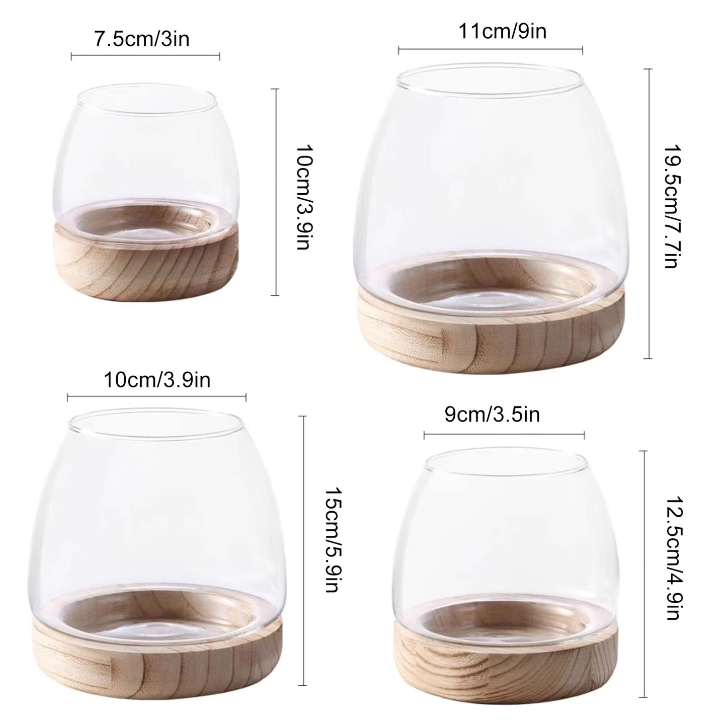 Asodomo Clear Glass Vase Fish Bowl Hydroponic Plant Vase with Wood Base Desktop Planter Terrarium Vases for Table Centerpiece Bedroom Living Room Home Office Decor (XL)