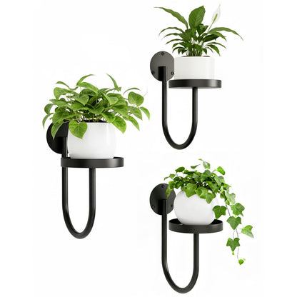 chufa Wall Plant Holder – Hanging Planters for Indoor, Window Planter Shelves & Hanger, Indoor Wall Planters, Modern Plant Decor, Black (3 Pack)