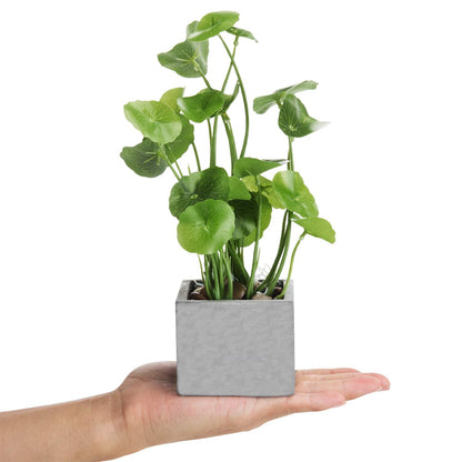 MyGift Artificial Plants Indoor, Set of 3 Small Fake Potted Plants, Faux House Plant for Home Decor