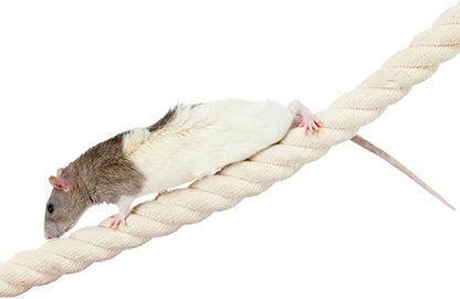 42 Inch Natural Rope (Regular) - Flexible Bendable Climbing Rope Perch Cage Accessory Toy - Sugar Gliders, Squirrels, Degus, Marmosets, Monkeys, Parrots, Birds, Rats & Other Small Pets