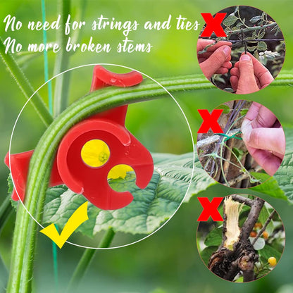 LucyPhy 90 Pack Plant Bender Angle Adjustable Plant Training Clips Low Stress Training Clips 90 Degrees Plant Stem(Circle Style,Red)