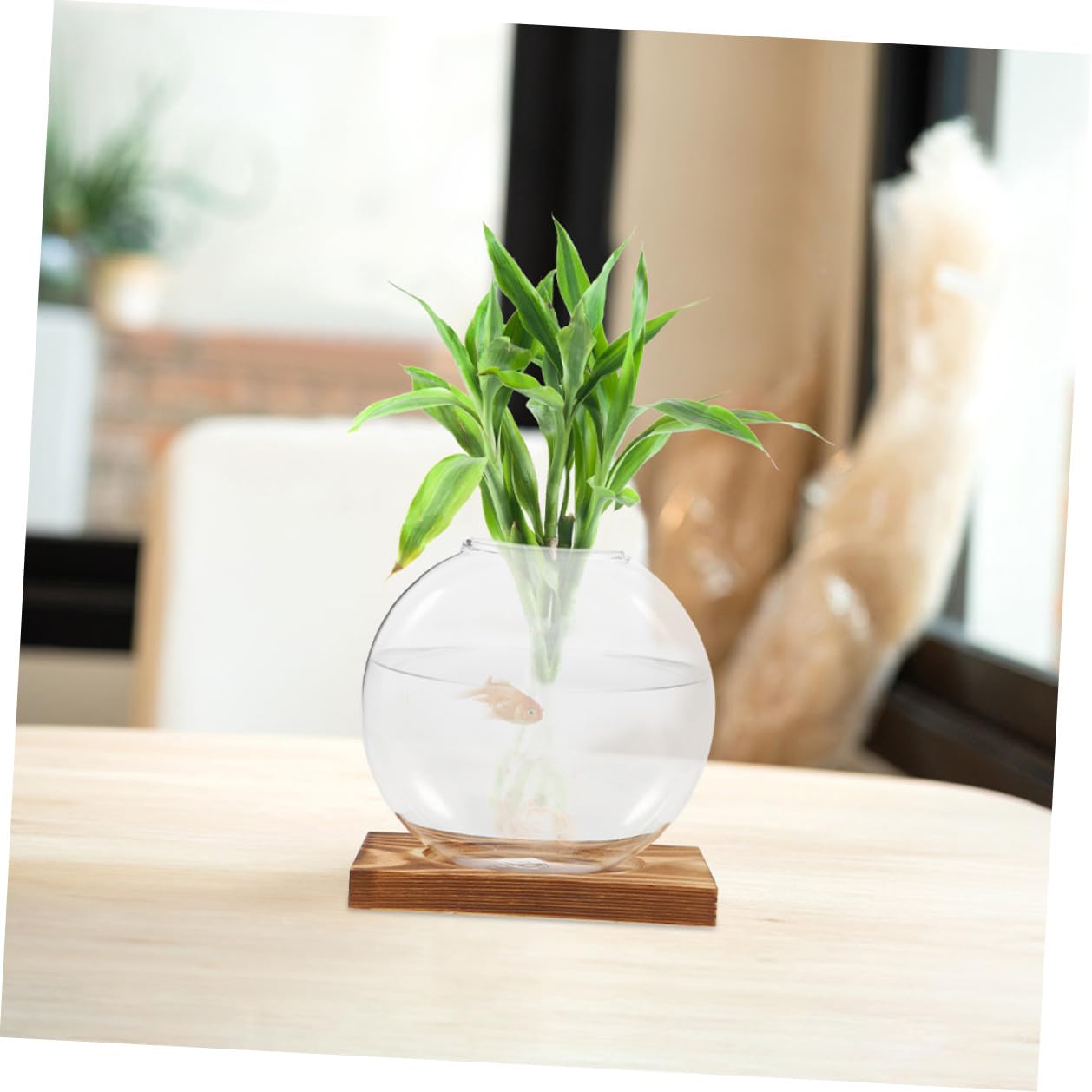 OUNONA 2pcs Hydroponic Propagation Glass Vessels with Wooden Base, Small Containers for Indoor Plants, Desk Terrarium Station for Home and Office Decor