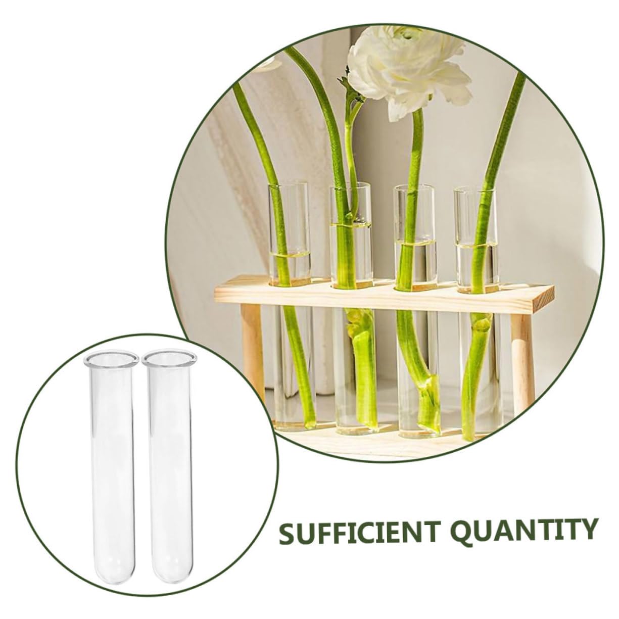 Ciieeo 6pcs Glass Test Tube Vase for Air Plant Terrarium Propagation Jars for Plants Glass Tube Vase Elegant Design for Home Office