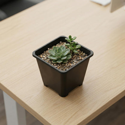 HAKZEON 50 PCS 5.5 Inch Square Nursery Pots, Black Plastic Plant Pot with Drainage Holes, Small Seed Starting Pots for Flower Planter Seedlings, Succulents