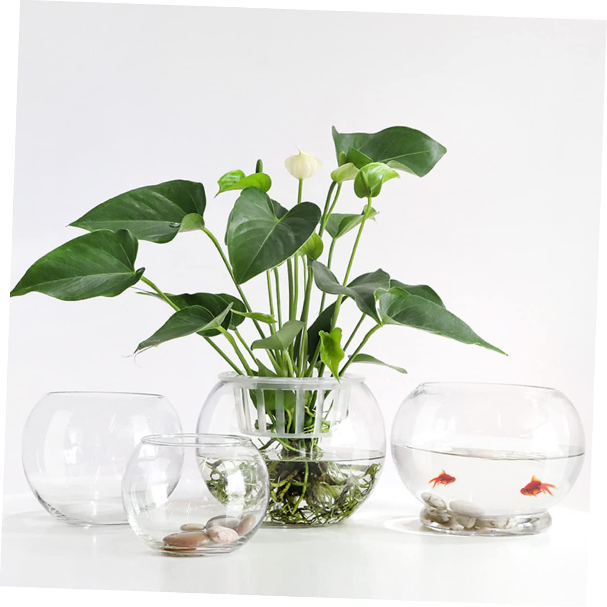 PHENOFICE Transparent Hydroponics Glass Vase Rounded Desktop Flower Holder for Succulents Terrarium and Fish Decorative Plant Pot for Home Office Hotel Ornament