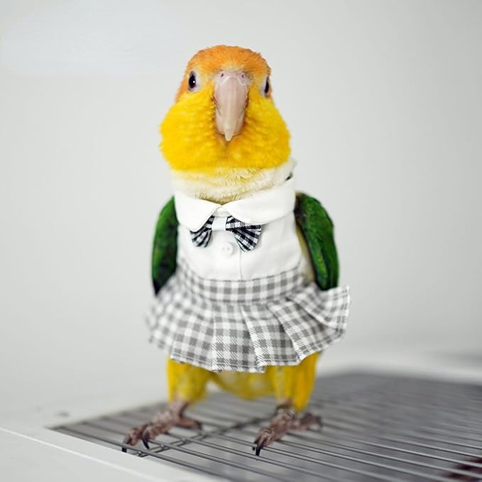 Bird Costume Bird Diaper Flight Suit Cute JK Dress Dress Skirt Clothes Cosplay Photo Prop for Parrots Macaw Cockatoo (with Diaper,Sulphur-Crested Cockatoo)