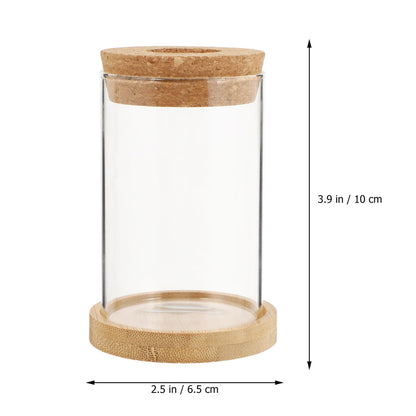 Ipetboom 2pcs Hydroponic Plant Terrarium Glass Vases with Stand, 6.5x10cm Desktop Glass Containers for Home Office Garden Decoration